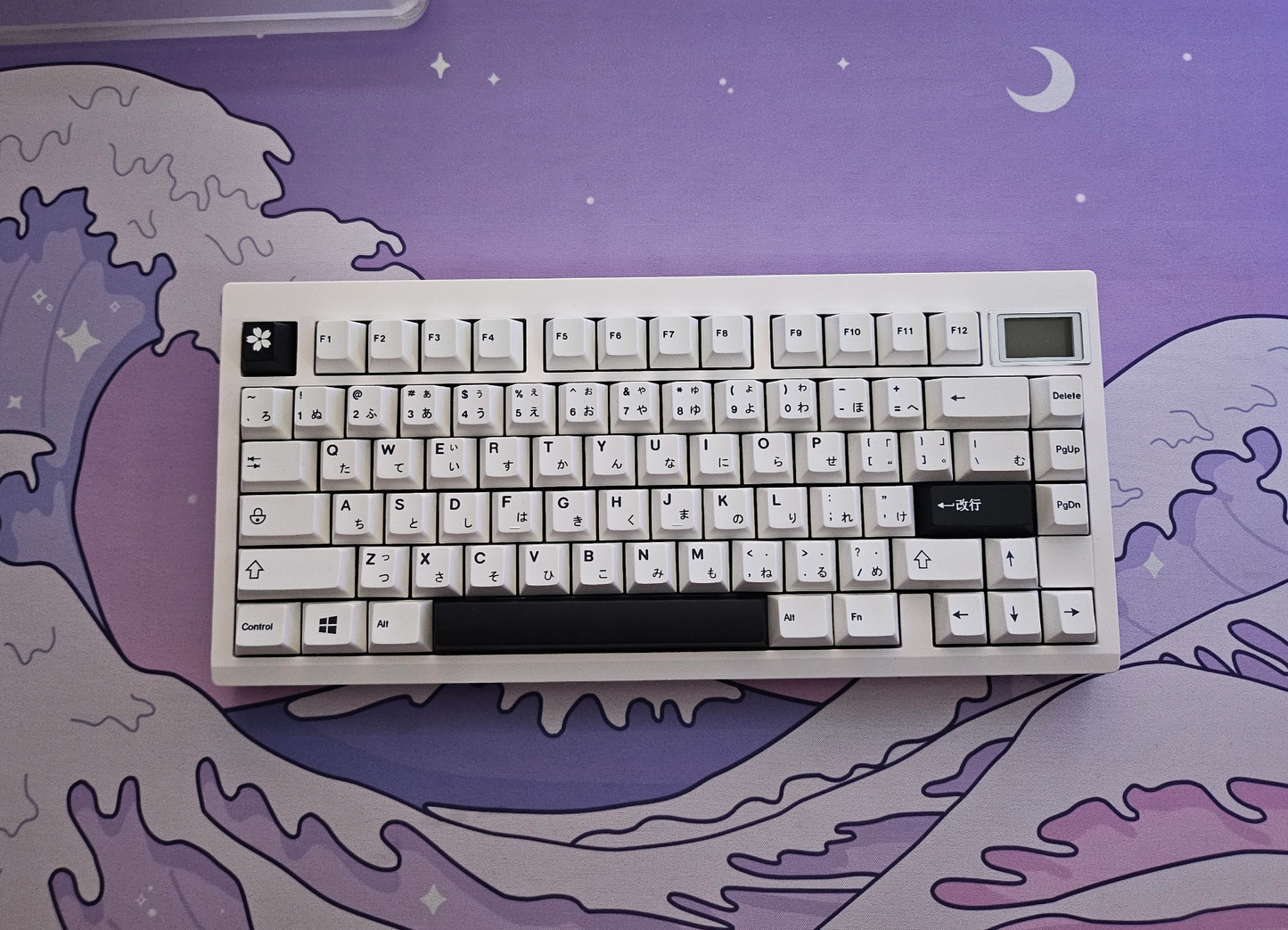 gmk81