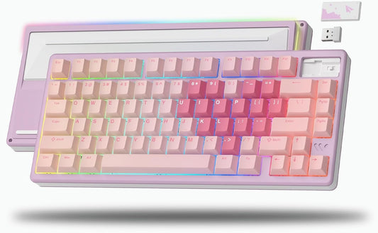 womier sk71 pro