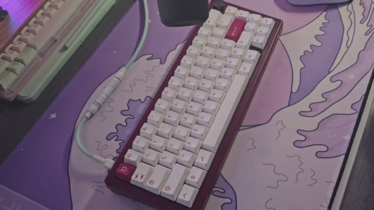akko penguin