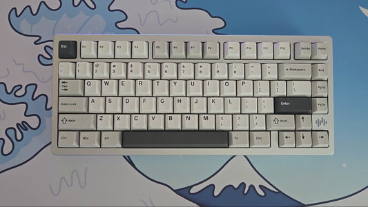 womier rd75 pro